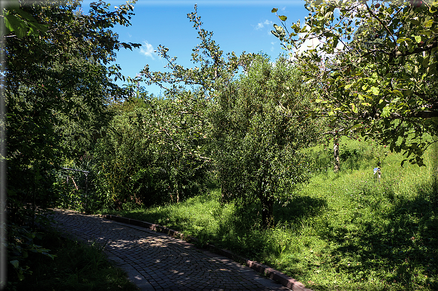 foto Giardini Trauttmansdorff - Paesaggi dell'Alto Adige